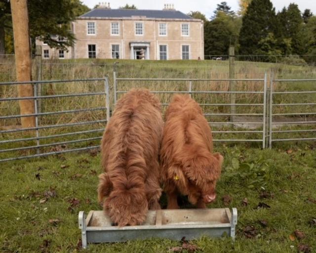 Manar House Villa Inverurie Dış mekan fotoğraf