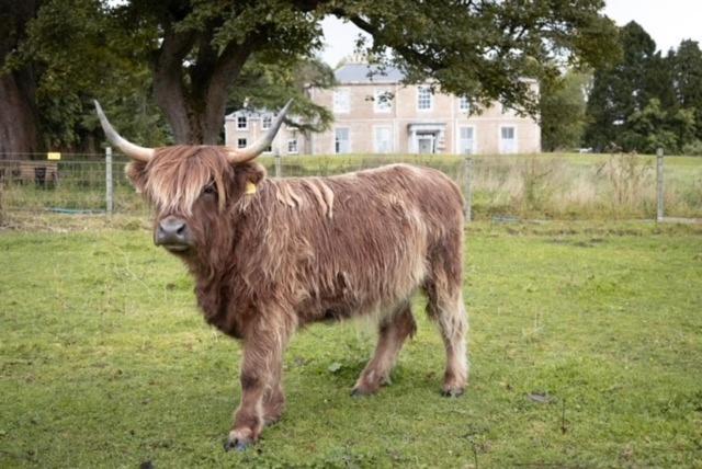 Manar House Villa Inverurie Dış mekan fotoğraf